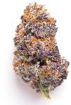 8 Inch Bagel | NATURE'S CHEMISTRY | Recreational Marijuana