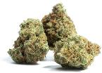 Baklava | NEON CACTUS | Recreational Marijuana