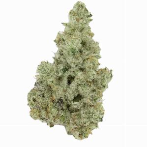 Cap Junkie | BLVD | Recreational Marijuana