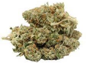 Garlic Haze | FLORAVEGA | Recreational Marijuana