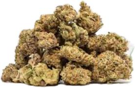 Hooch | SUPER GOOD | Recreational Marijuana
