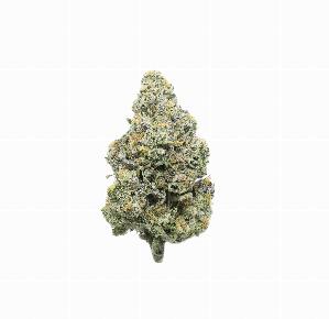 Jungle Juice | NATURE'S CHEMISTRY | Recreational Marijuana
