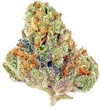 London Purpz | STIIIZY | Recreational Marijuana