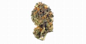 LV Kush Cake | FLORAVEGA | Recreational Marijuana