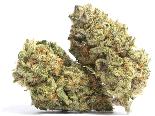 Melonheadz | CLOUT KING | Recreational Marijuana
