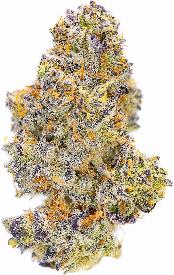 Mendo Breath | NEON CACTUS | Recreational Marijuana