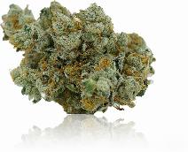 Primus | FLORAVEGA | Recreational Marijuana