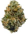 Sticky Fingers | HUSTLER'S AMBITION | Recreational Marijuana